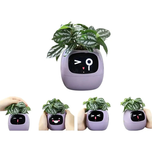 TechToysHub™ Ivy Smart AI Plant Pot