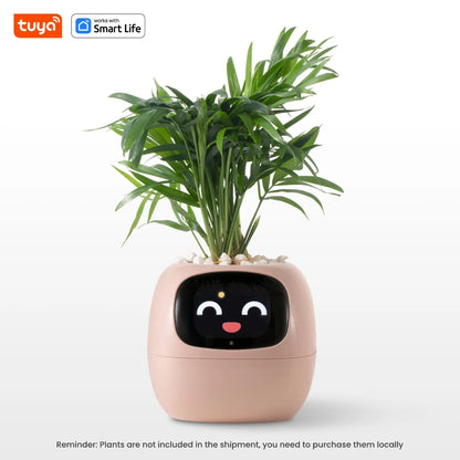 TechToysHub™  Ivy Smart AI Plant Pot