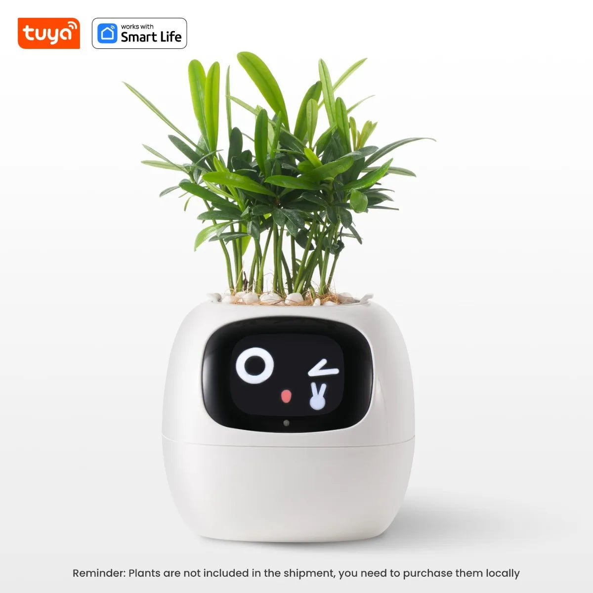 TechToysHub™  Ivy Smart AI Plant Pot