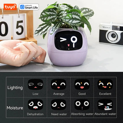 TechToysHub™  Ivy Smart AI Plant Pot