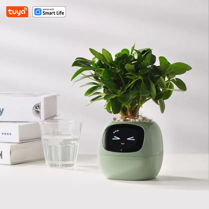 TechToysHub™  Ivy Smart AI Plant Pot