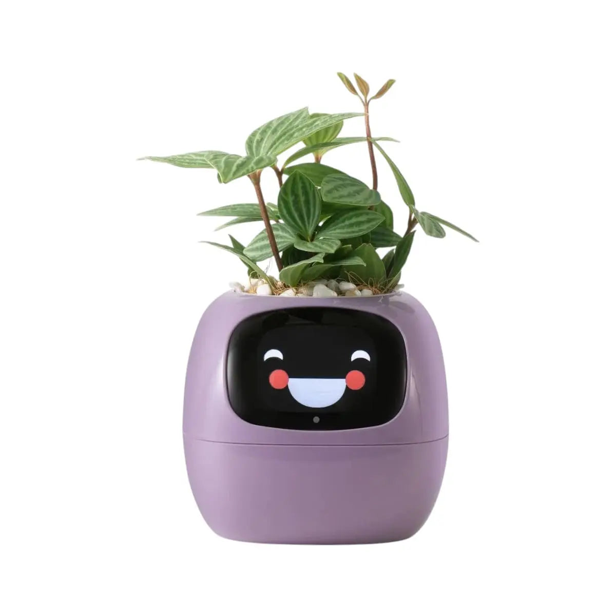 TechToysHub™  Ivy Smart AI Plant Pot